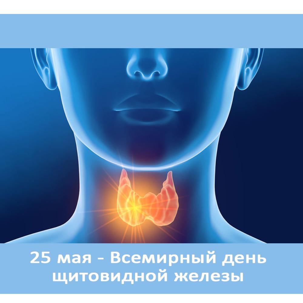 Всемирный день щитовидной железы   